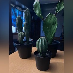Ikea brand FAKE cactus trio